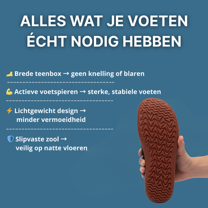 Barestep Shift Carelaze